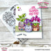 Animal Pots - Clear Stamps