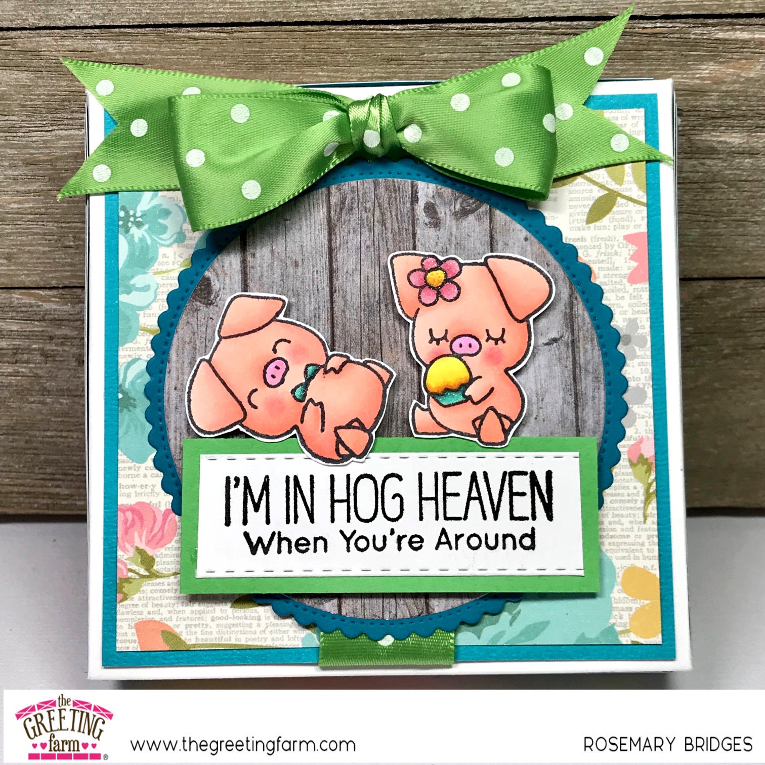 Stamp Feature: Hogs