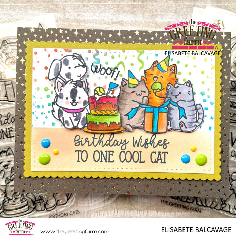 Birthday card from the furry babies