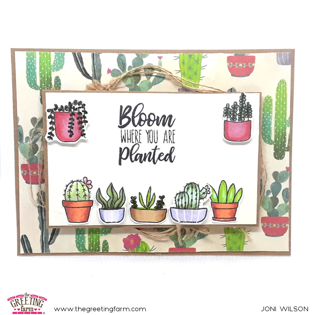 Stamp Feature: Potted Plants